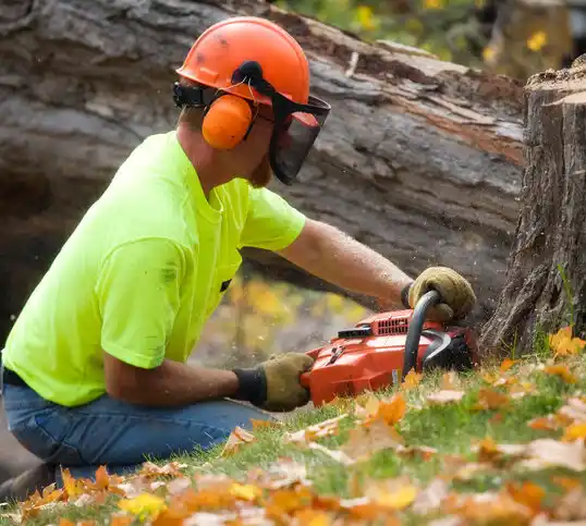 tree services Woodbine